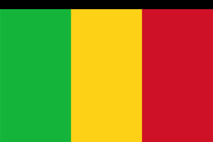 Mali Flag 